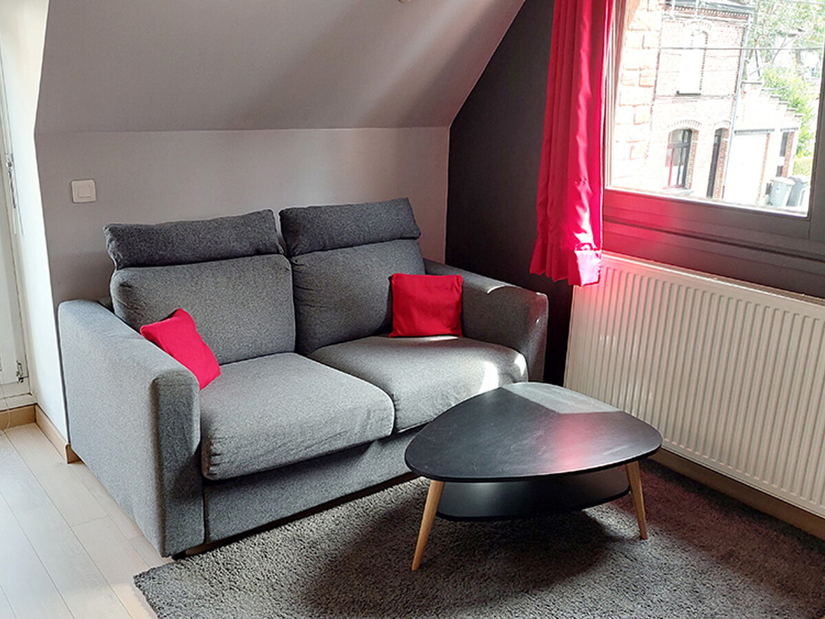 Appartement 4 pers., wifi fibre, animaux OK - Villeneuve-d'Ascq - Photo 1