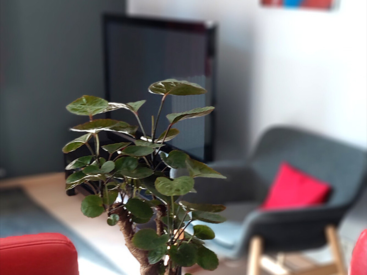 Appartement 4 pers., wifi fibre, animaux OK - Villeneuve-d'Ascq - Photo 9