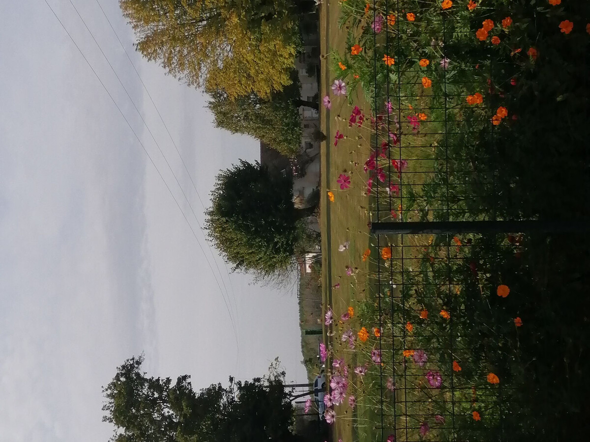 Gîte ancienne ferme avec vue panoramique, parc enfants - Photo 31