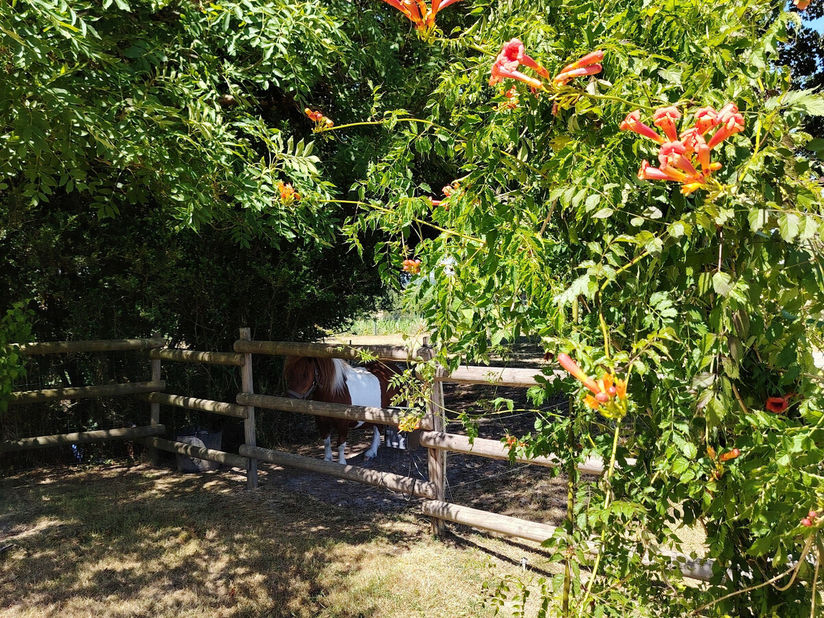 Gîte ancienne ferme avec vue panoramique, parc enfants - Photo 32