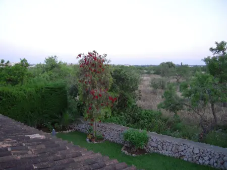 Maison 4 chambres Sa Coma, piscine et vue verger - Photo 8