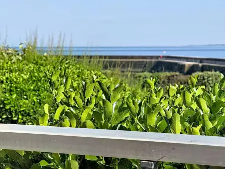 Appartement Les Terrasses Port Maria, vue mer à Quiberon : photo 14
