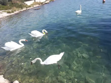 direkt am Meer und Strand, mit großem Garten und Terrasse, hervorragend für Fam : photo 18