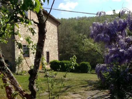 La Loggia, appartement Chianti Classico avec jardin privé : photo 38