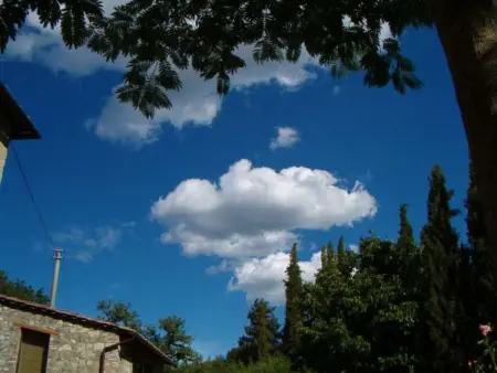 La Loggia, appartement Chianti Classico avec jardin privé : photo 41