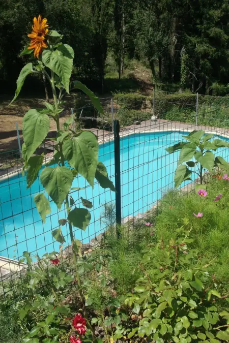La Loggia, appartement Chianti Classico avec jardin privé : photo 45