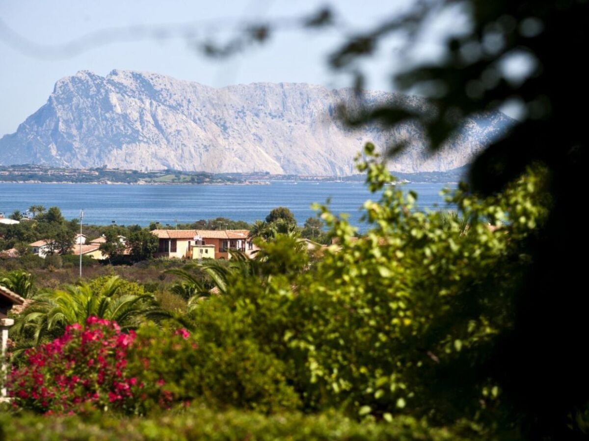 Maison avec jardin et vue mer à Agrustos - Photo 9