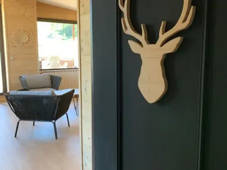 Appartement 75 m² vue pistes, terrasse 80 m² sud - Pra-Loup : photo 4
