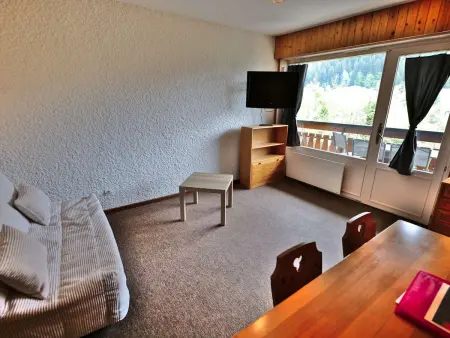 Studio + cabine vue montagne au Grand-Bornand : photo 1