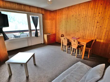 Studio + cabine vue montagne au Grand-Bornand : photo 6