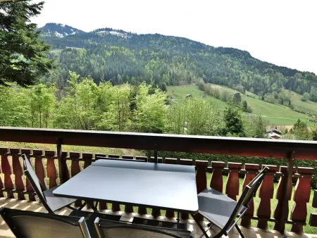 Studio + cabine vue montagne au Grand-Bornand : photo 7