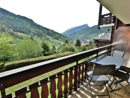 Studio + cabine vue montagne au Grand-Bornand : photo 8