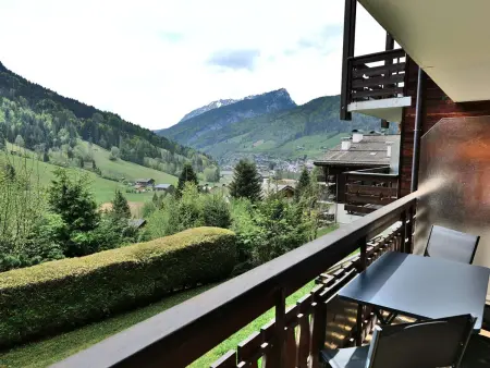 Studio + cabine vue montagne au Grand-Bornand : photo 9