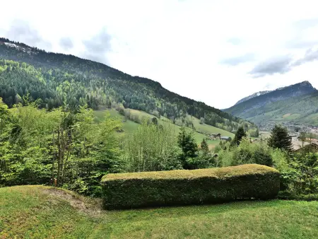 Studio + cabine vue montagne au Grand-Bornand : photo 10