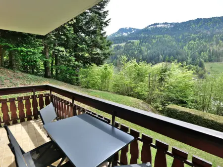 Studio + cabine vue montagne au Grand-Bornand : photo 12