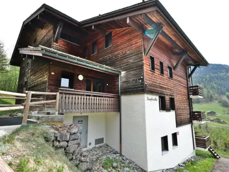 Studio + cabine vue montagne au Grand-Bornand : photo 13
