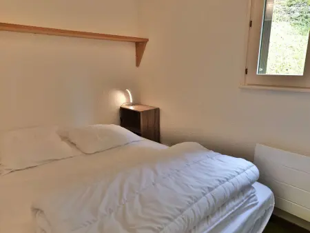 Studio + cabine vue montagne au Grand-Bornand : photo 17