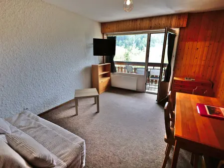 Studio + cabine vue montagne au Grand-Bornand : photo 21