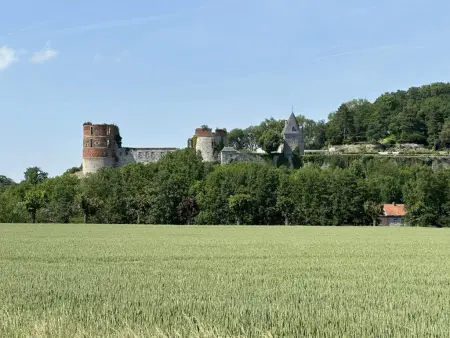 La Tulipe : maison de groupe 15 pers. aux Ardennes, Vireux-Molhain : photo 51