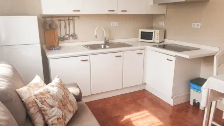 Appartement avec piscine partagée et jardin clôturé à Güime : photo 10