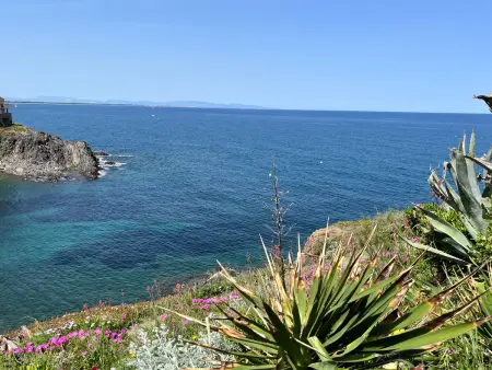 T2 vue mer directe à Port-Vendres, terrasse, parking : photo 15