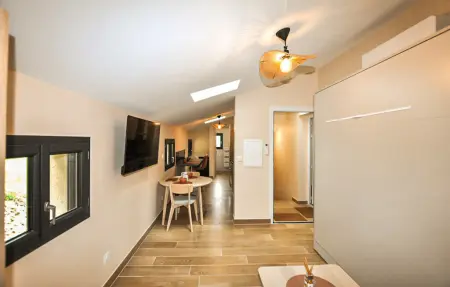 Maison 6 chambres avec piscine et jacuzzi à Sonnac : photo 12