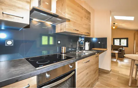 Maison 6 chambres avec piscine et jacuzzi à Sonnac : photo 13