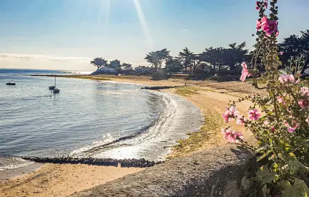 Ancienne ferme vendéenne rénovée avec piscine privée : photo 3
