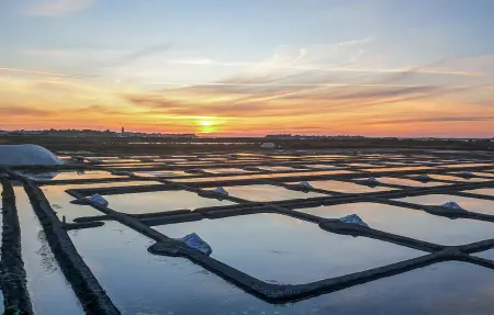 Ancienne ferme vendéenne rénovée avec piscine privée : photo 16