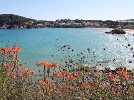 Appartement 45m² lumineux près plage Caleta, Palamós : photo 34