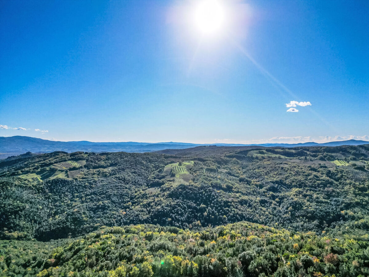 Casa Carla, gîte rural 4 pers. à Pari, vue panoramique - Photo 12