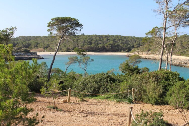 Maison Porto Petro, piscine privée et vue mer - Photo 34