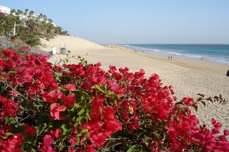 Maison 2 chambres à Morro Jable, près de la plage - Photo 37