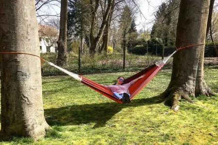 Le Bois de Robin, maison plain-pied à Sarreguemines : photo 4