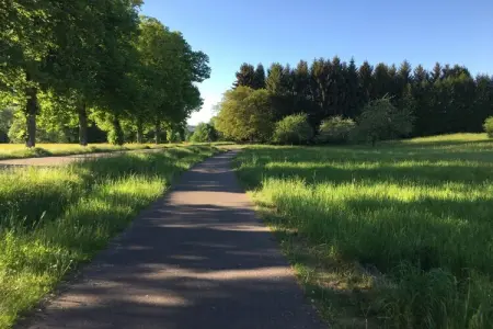 Le Bois de Robin, maison plain-pied à Sarreguemines : photo 20