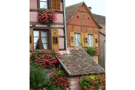 Maison colombages XVIIe siècle à Hunawihr, 10 pers. : photo 32