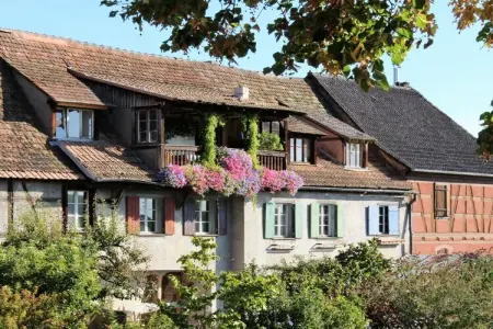 Maison colombages XVIIe siècle à Hunawihr, 10 pers. : photo 33