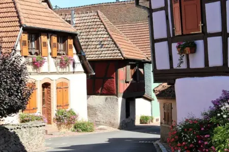 Maison colombages XVIIe siècle à Hunawihr, 10 pers. : photo 39