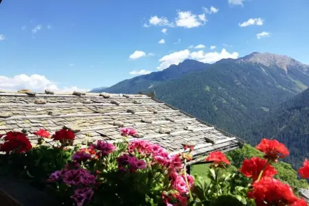 Ferme de montagne à 1560m, vallée d'Ulten : photo 4