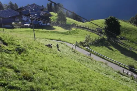 Ferme de montagne à 1560m, vallée d'Ulten : photo 17