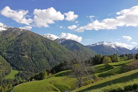 Ferme de montagne à 1560m, vallée d'Ulten : photo 18