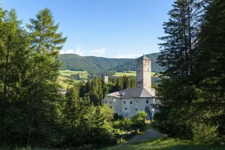 Maison Wibmerhof à Taisten, sauna et jardin : photo 12