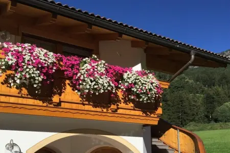 Maison 4 personnes à Lajen avec accès télésiège direct : photo 6