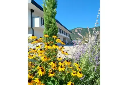 Maison 57 m² avec vue montagne à Pfatten : photo 6