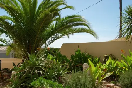 357133, Maison de vacances avec 1 chambre - Photo 6