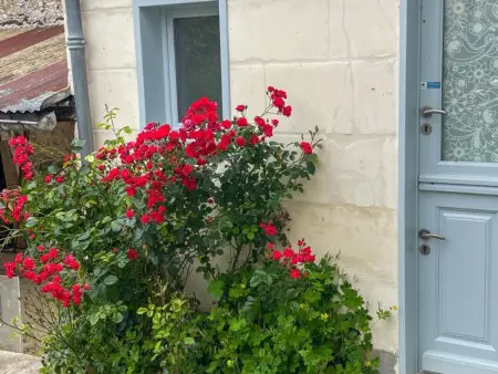 Gîte 6 pers. Touraine avec jardin clos et 2 salles d'eau : photo 30
