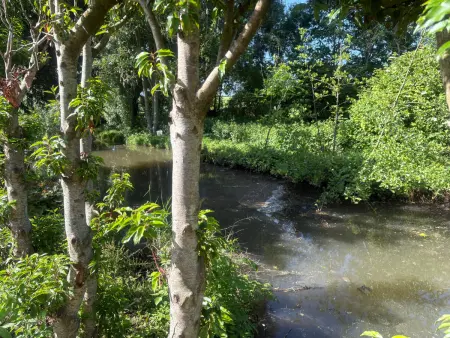 Ô fil de l'eau : gîte 10 pers. au bord de la Bienne : photo 23