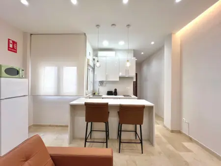 Appartement 1 chambre au cœur de Málaga : photo 4