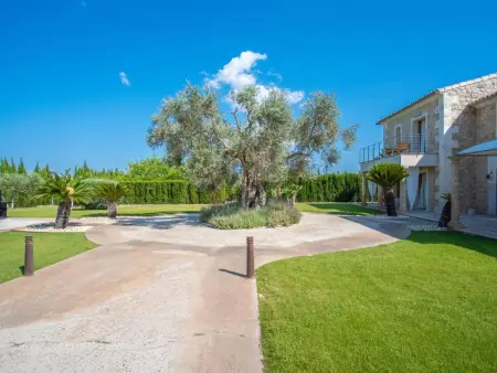 Villa 4 chambres avec jacuzzi à Selva, Mallorca - Photo 17