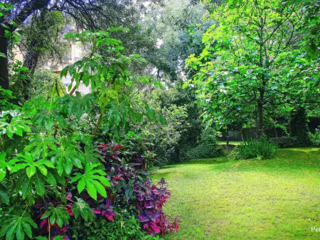 Casa das Devesas – Maison rurale 7 pers. avec piscine à Amares : photo 46